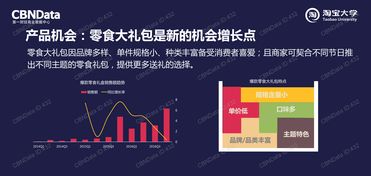 199it 中國市場互聯(lián)網(wǎng)數(shù)據(jù)資訊與處理服務的先鋒
