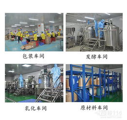 數據處理服務 驅動現(xiàn)代企業(yè)數字化轉型的核心引擎