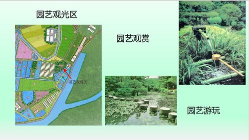 總投資達(dá)4億元,橫跨三個(gè)社區(qū) 東莞將誕生一個(gè)巨無(wú)霸農(nóng)業(yè)產(chǎn)業(yè)園