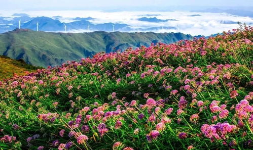 國慶豪華版拼假攻略 請6休16 這些重點(diǎn)景區(qū)門票要降價(jià)了,約起