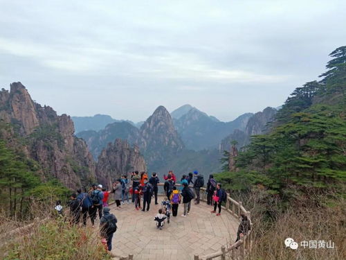 黃山風景區(qū)管委會 清明小長假第三天景區(qū)游覽秩序井然